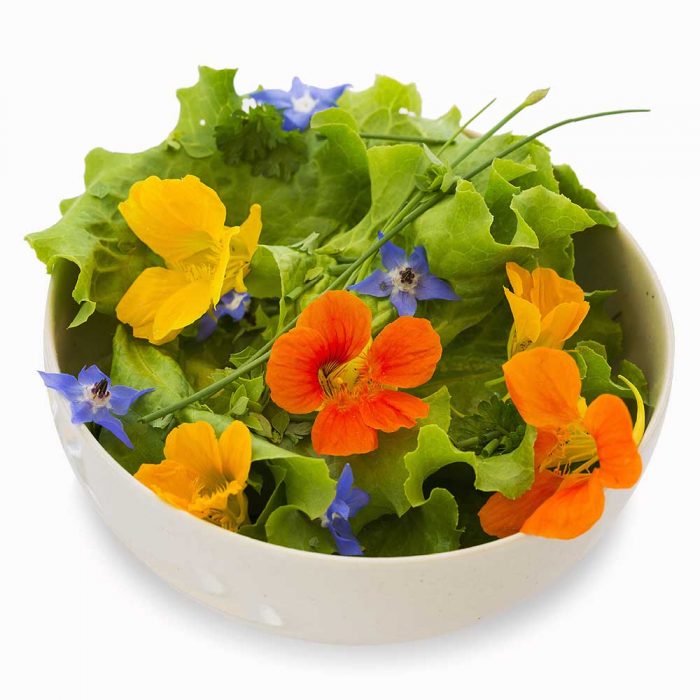 eetbare-bloemen-2
